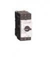 MCB PROTEKSI THERMINAL MAGNETIC GV3L